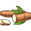 287z_manioc_slice_one_color-removebg-preview 287z_manioc_slice_one_color-removebg-preview